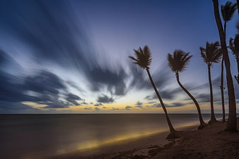 Long Exposure Sunset with Silhouetted Palm Trees on Beach
