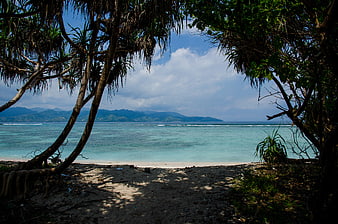 Tropical beach view through trees with turquoise ocean and mountains