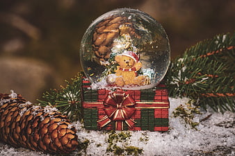 Christmas Snow Globe With Teddy Bear And Pinecone On Snow