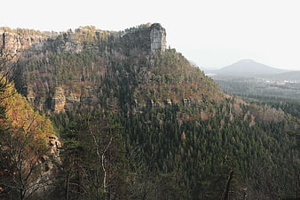 Table Mountain Landscape with Forest and Rock Formations
