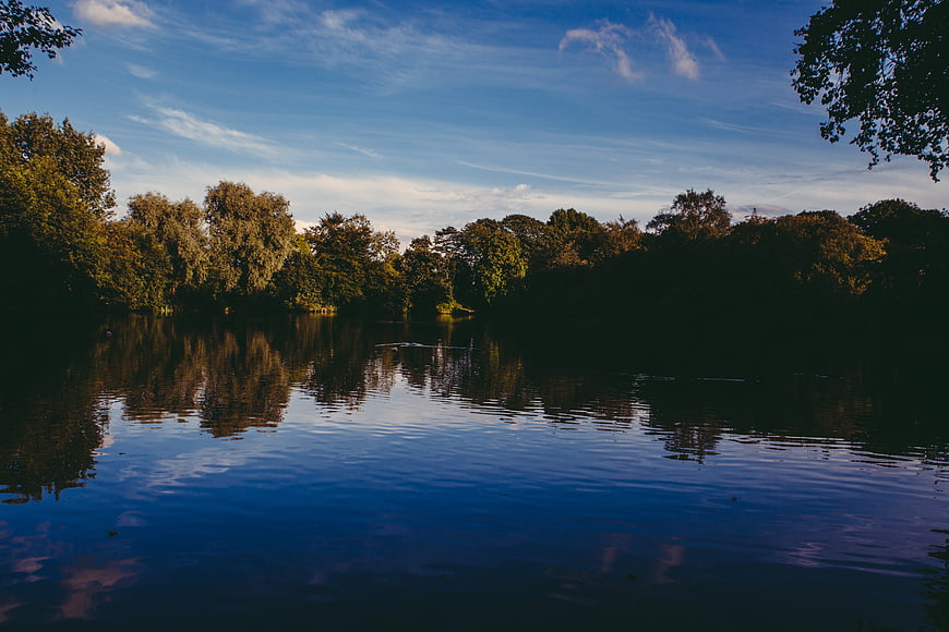 Serene Lake Reflection with Trees and Blue Sky