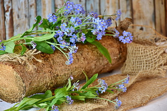 Blue forget-me-not flowers arranged on rustic log and burlap