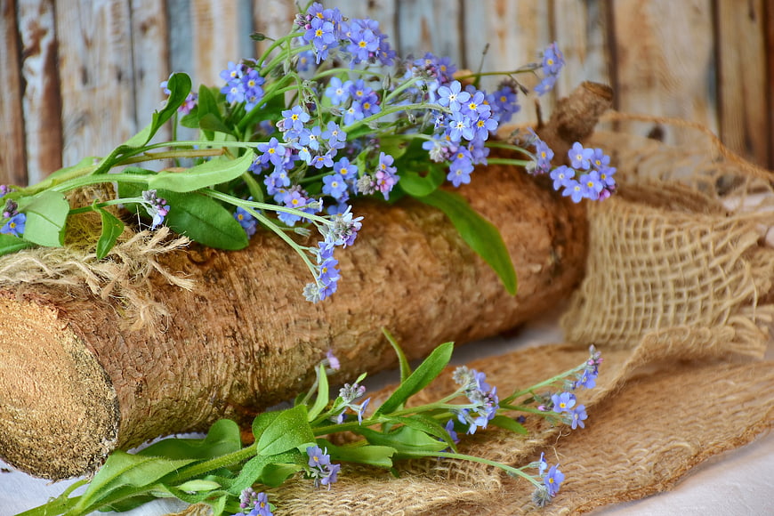 Blue forget-me-not flowers arranged on rustic log and burlap
