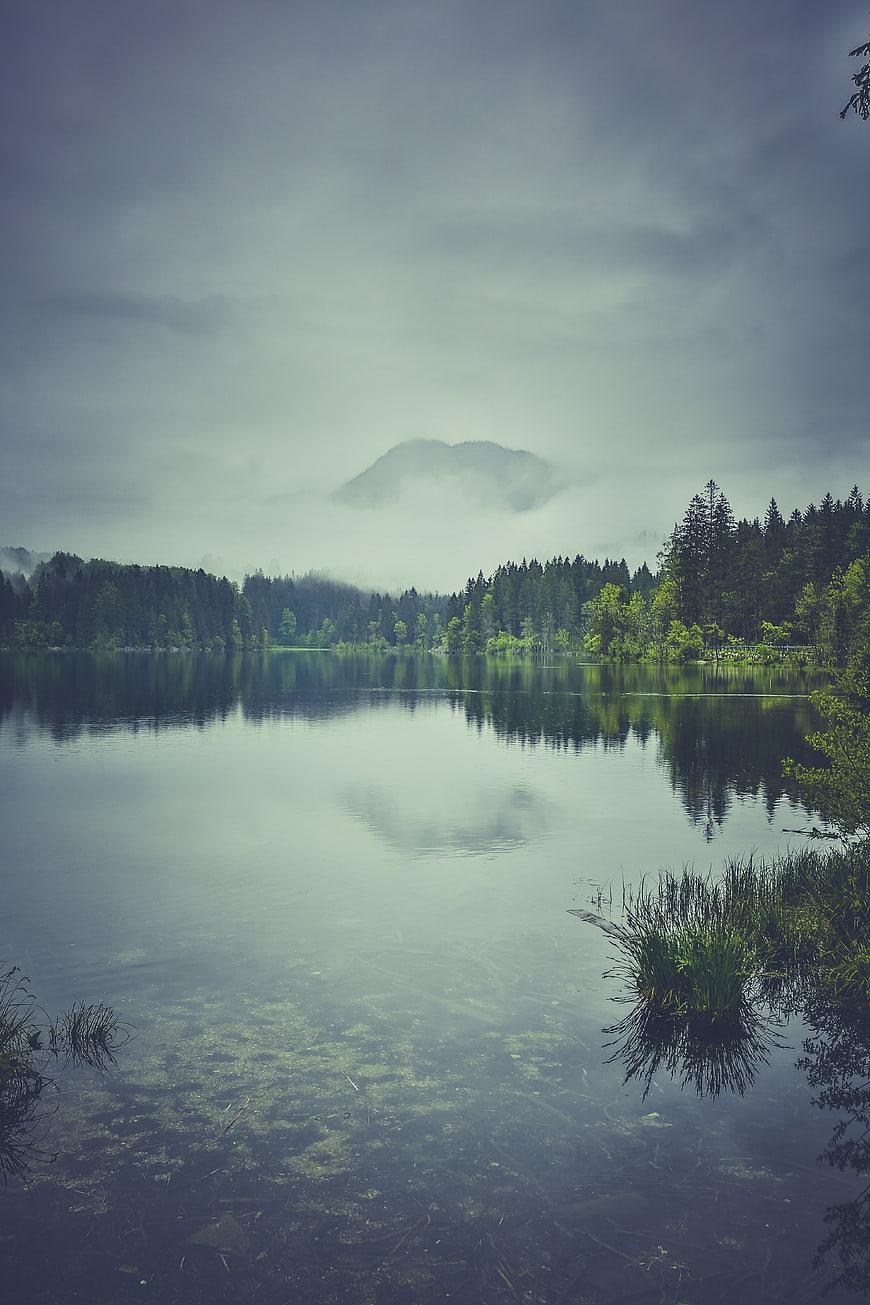 Serene Misty Mountain Lake with Forest Reflection