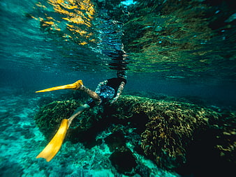 Underwater Snorkeler with Yellow Fins Exploring Coral Reef