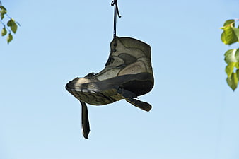 Worn Hiking Boot Hanging From Tree Branch Against Blue Sky