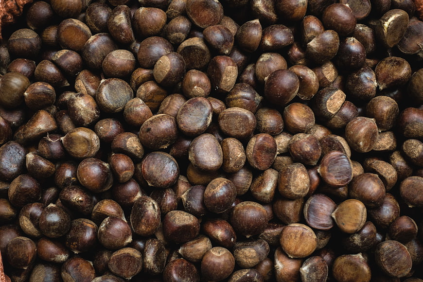Close-up top view of raw brown chestnuts filling the frame