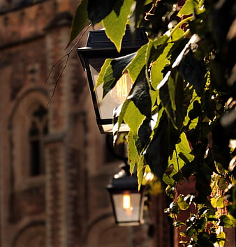 Vintage street lamp with green leaves against historic brick building
