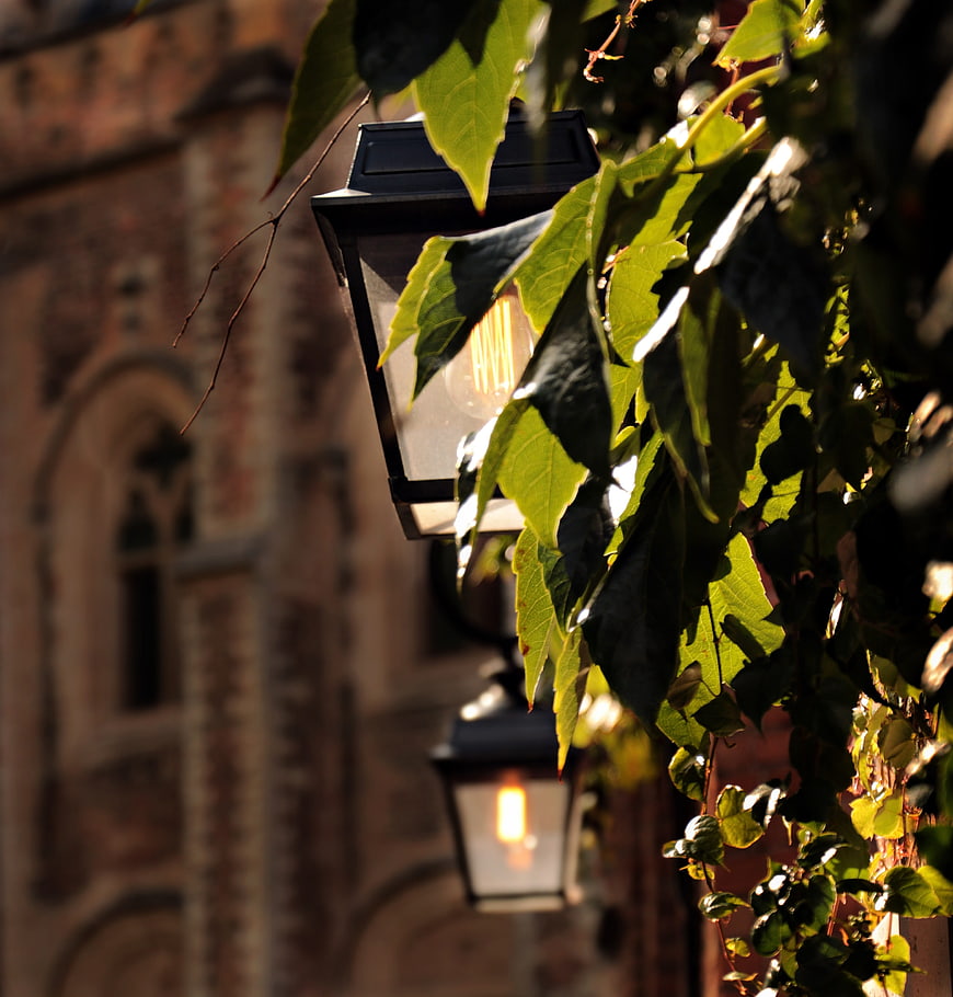 Vintage street lamp with green leaves against historic brick building