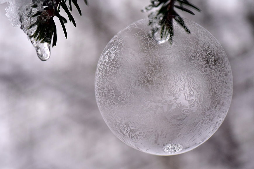 Frosted Christmas Ornament on Pine Branch in Winter
