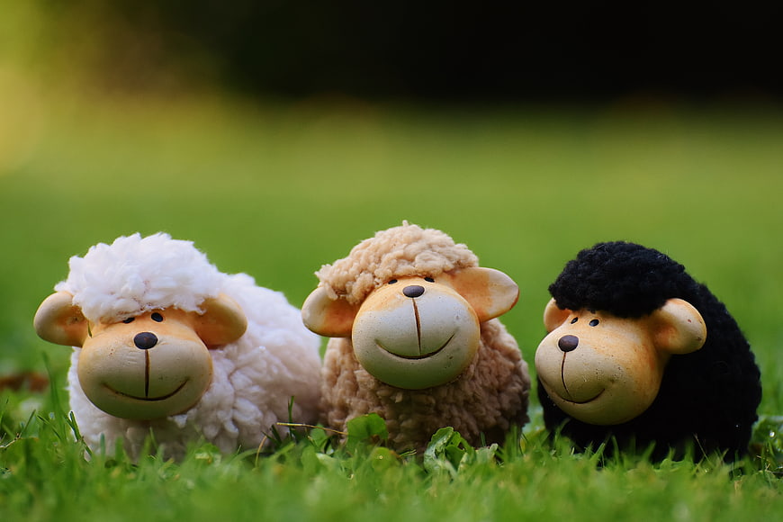 Three cute ceramic sheep figurines sitting in green grass