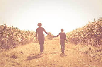 Mother and daughter walking hand in hand through a golden cornfield