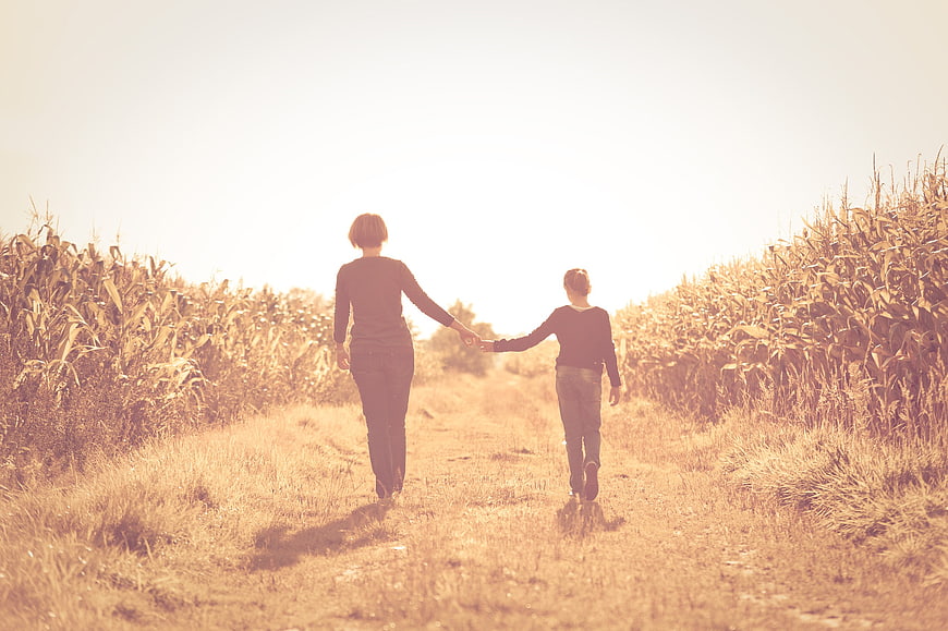 Mother and daughter walking hand in hand through a golden cornfield