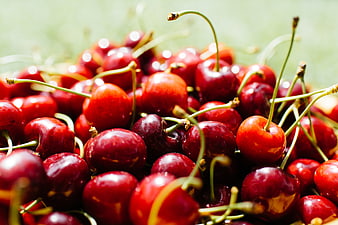 Close-up of fresh red cherries with green stems