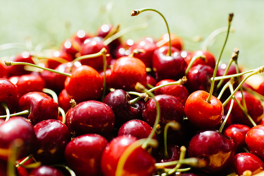 Close-up of fresh red cherries with green stems