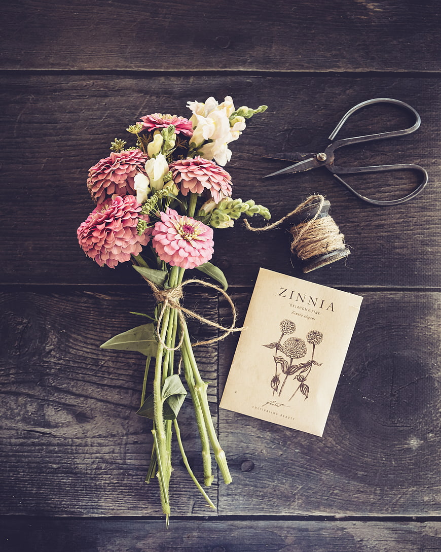 Rustic Pink Zinnia Bouquet Flat Lay on Dark Wood
