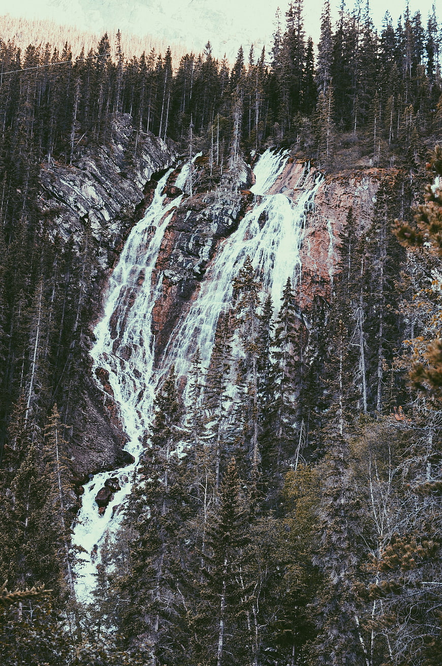 Tall waterfall cascading down rocky cliff in pine forest