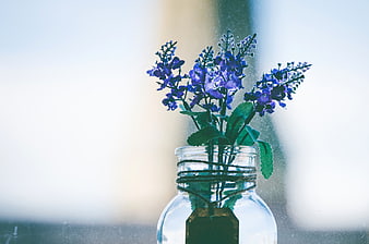 Blue Flowers in Glass Jar on Window Sill