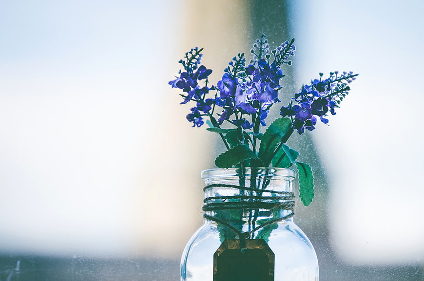 Blue Flowers in Glass Jar on Window Sill