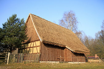 Traditional Thatched Roof Cottage in Open Air Museum