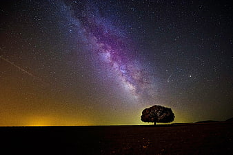 Lone Tree Silhouette Under Milky Way Galaxy Night Sky