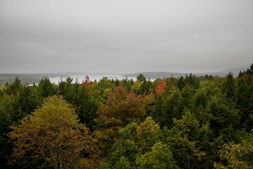 Autumn Forest Landscape with Lake and Overcast Sky