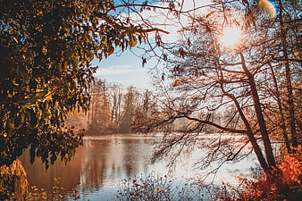 Serene Autumn Lake Landscape With Sunlight And Tree Reflections