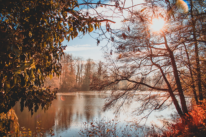 Serene Autumn Lake Landscape With Sunlight And Tree Reflections