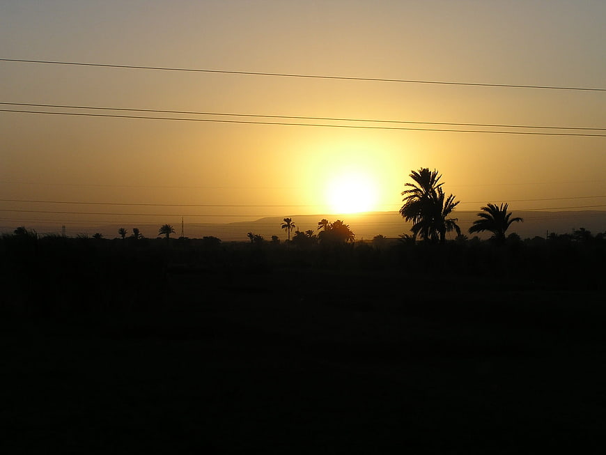 Silhouette of palm trees against golden sunset sky