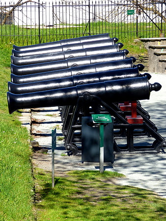 Row of historic black cannons in outdoor museum