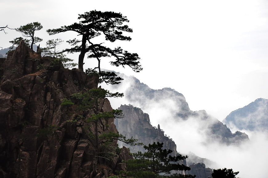Misty Pine Trees on Rocky Mountain Peaks in Huangshan