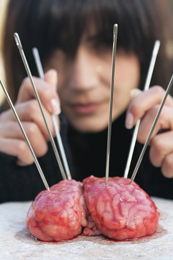 Person holding metal skewers in raw brain specimen