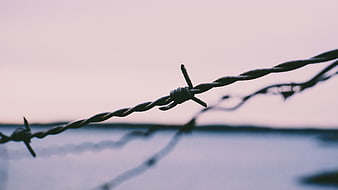 Close-up of barbed wire fence against soft pastel sky