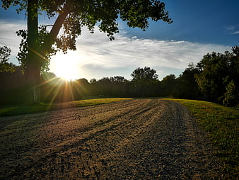 Sunlit gravel country road at sunrise with trees