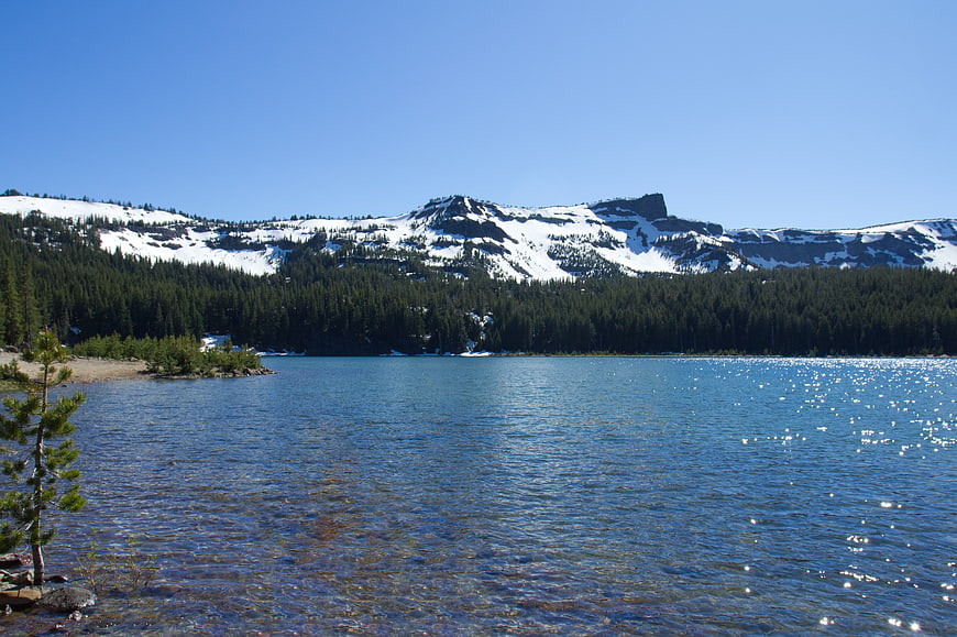 Serene Alpine Lake with Snow-Capped Mountains and Pine Forest