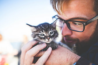 Man with Glasses Holding Cute Tabby Kitten Outdoors