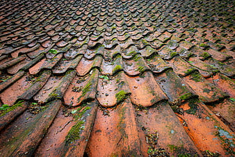 Close-up of mossy terracotta roof tiles with natural texture