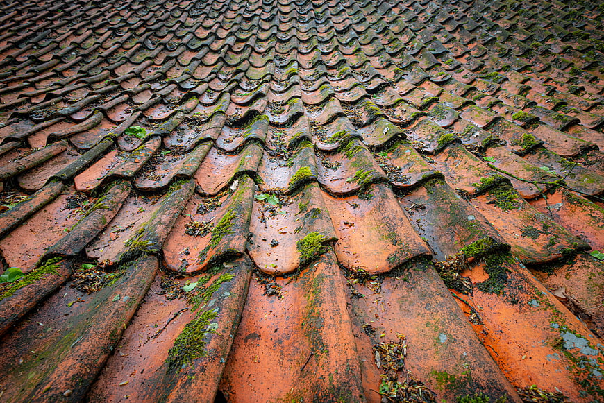 Close-up of mossy terracotta roof tiles with natural texture