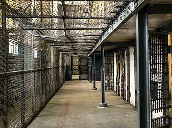 Empty prison cell block with iron bars and mesh ceiling