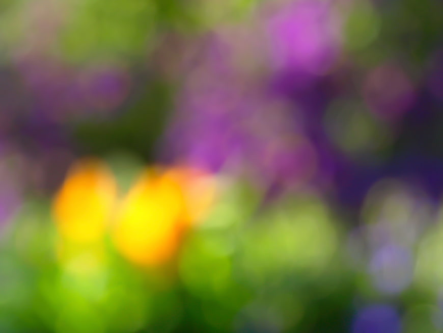Abstract colorful bokeh background with purple and yellow lights