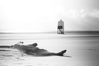 Black and white lifeguard tower on misty beach with driftwood
