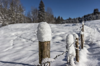 Snow-Capped Wooden Fence Post in Winter Landscape
