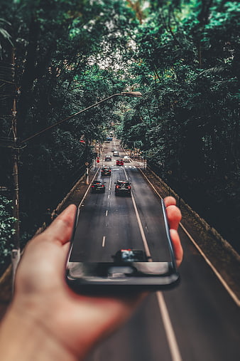 Hand holding smartphone capturing forest road traffic