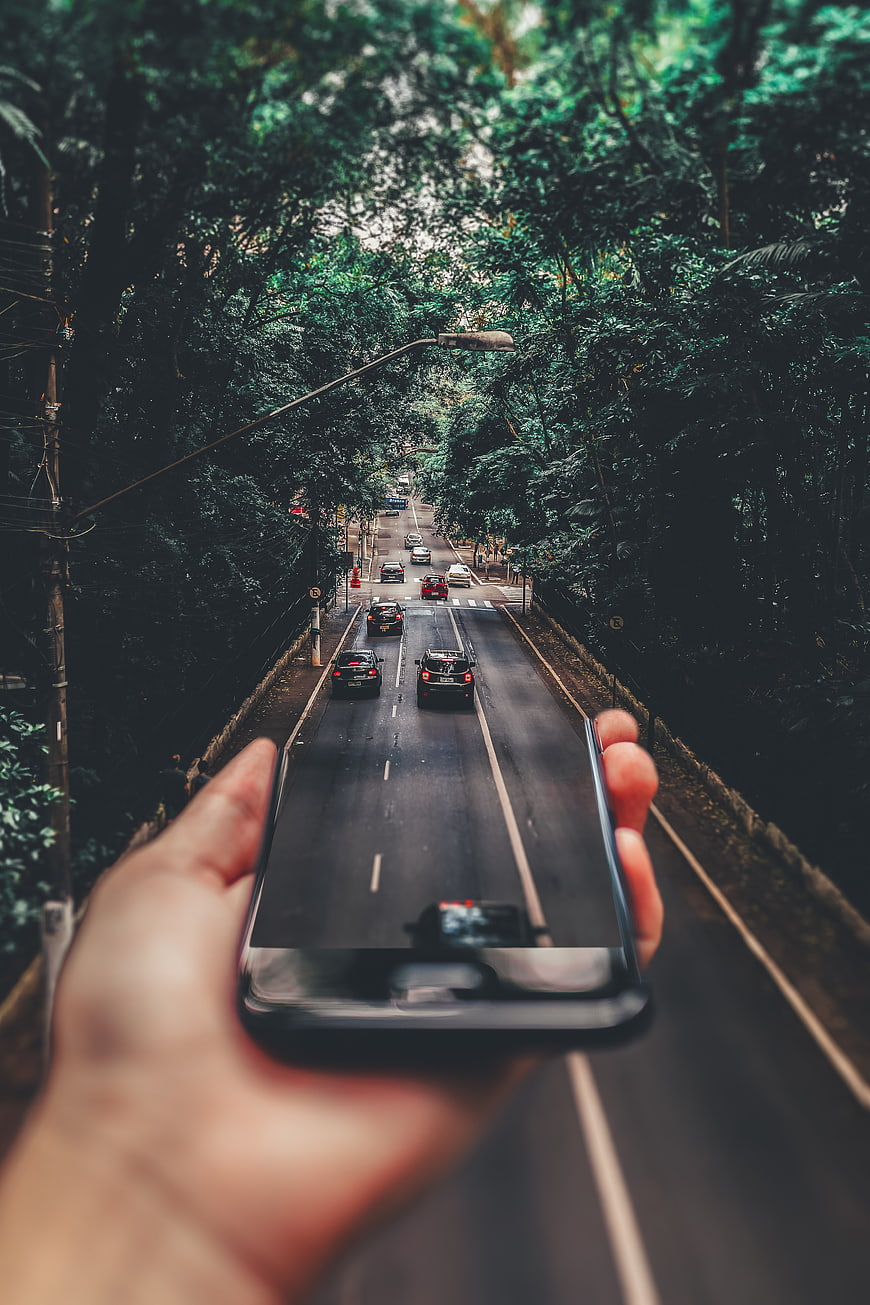 Hand holding smartphone capturing forest road traffic