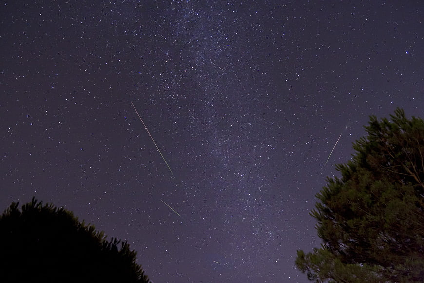 Night Sky Meteor Shower with Milky Way and Tree Silhouettes