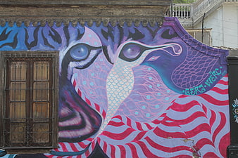 Colorful Pink and Blue Lion Street Art Mural