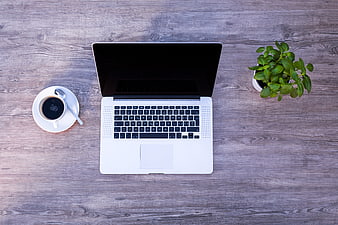 Top view of laptop, coffee, and plant on wooden desk