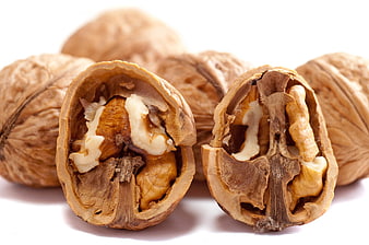 Cracked Walnuts in Shell on White Background