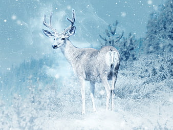 Majestic White Stag in Snowy Winter Forest