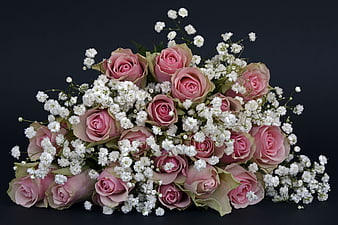 Pink Roses and Baby's Breath Bouquet on Black Background